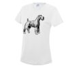 AWDis Ladies Cool T-Shirt Thumbnail