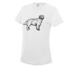 AWDis Ladies Cool T-Shirt Thumbnail